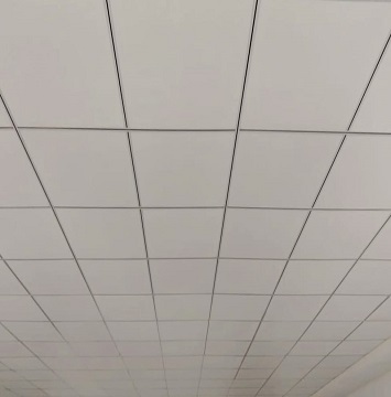 Business_Team_single